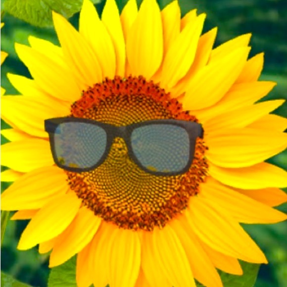 Meet your Posher, Judy - Picture 1 of 1